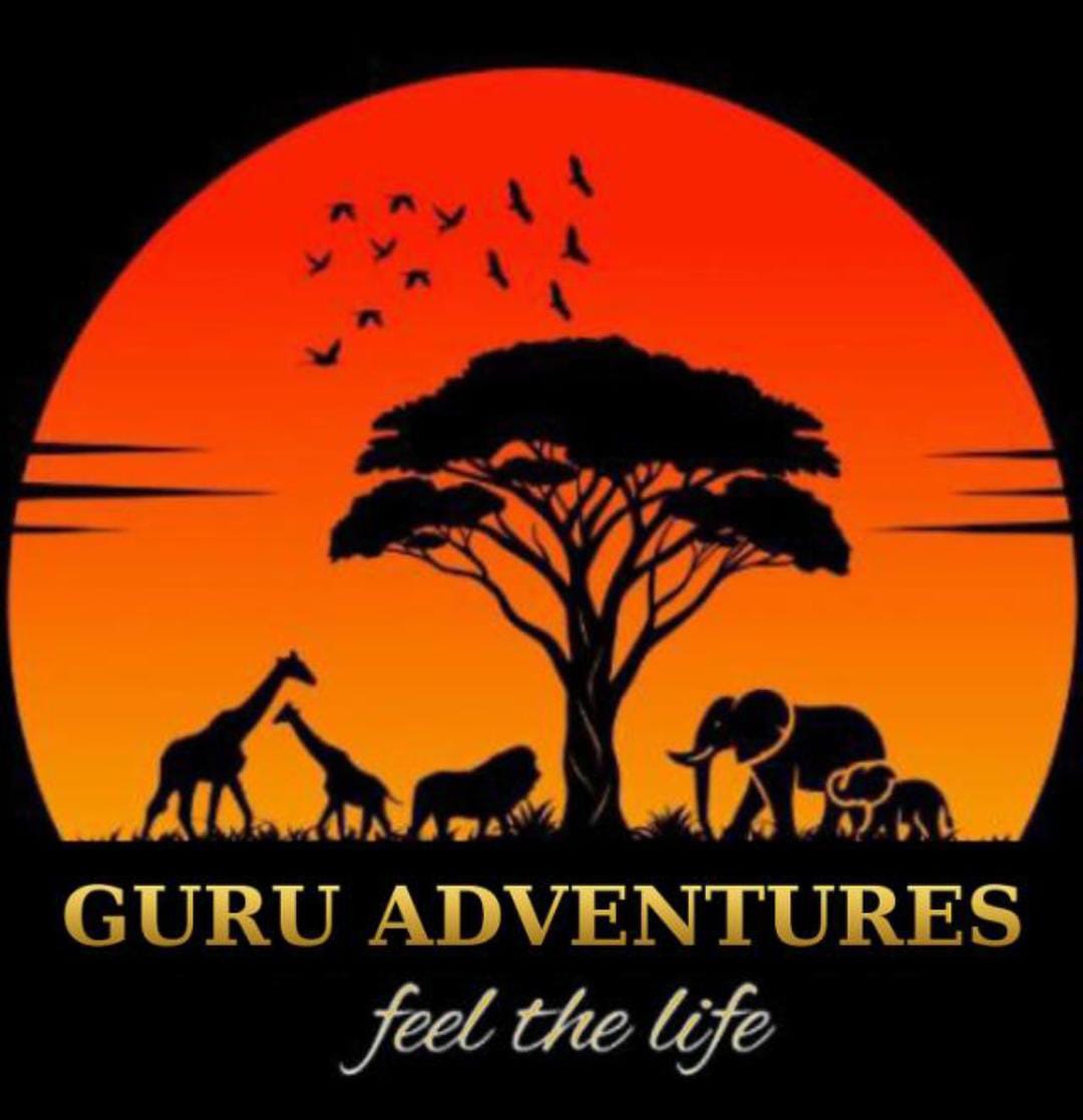 Guru Grandview Expedition